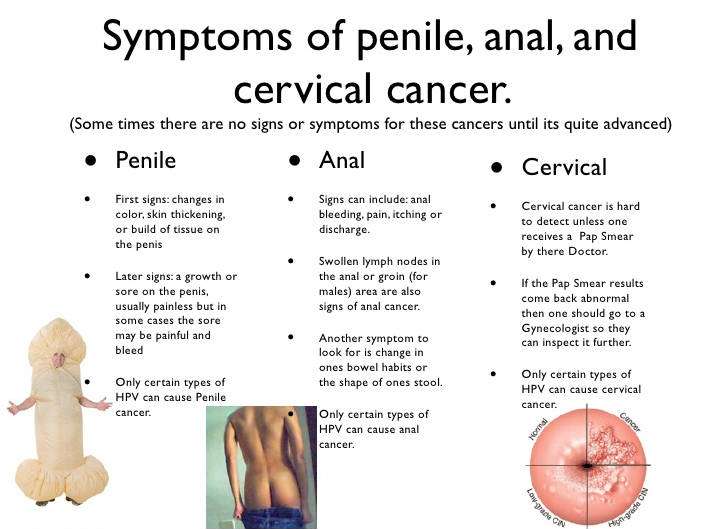 Everything You Should Know to Prevent The Penile Cancer ...