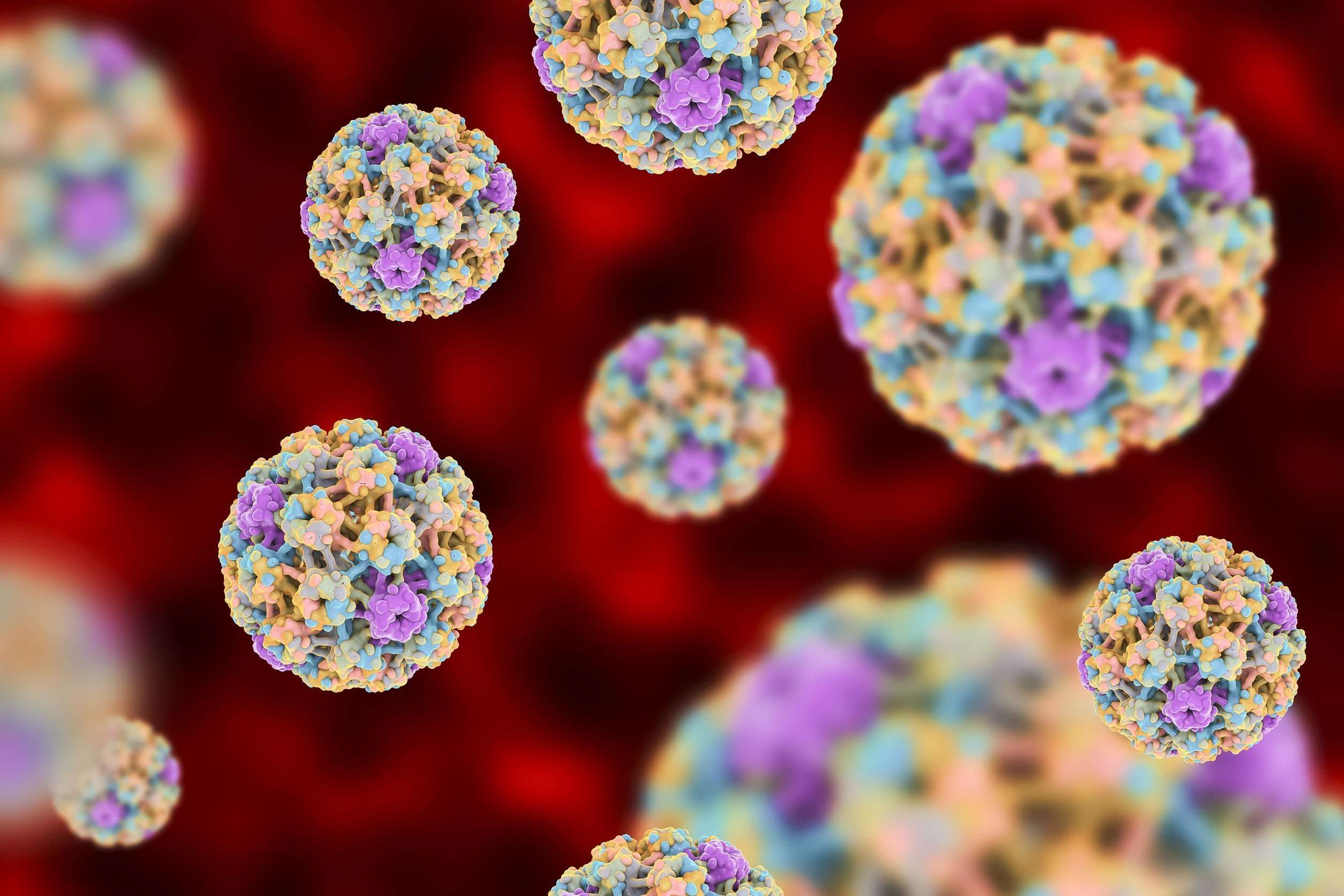 Human Papillomavirus: A Brief Review Beyond Cervical ...
