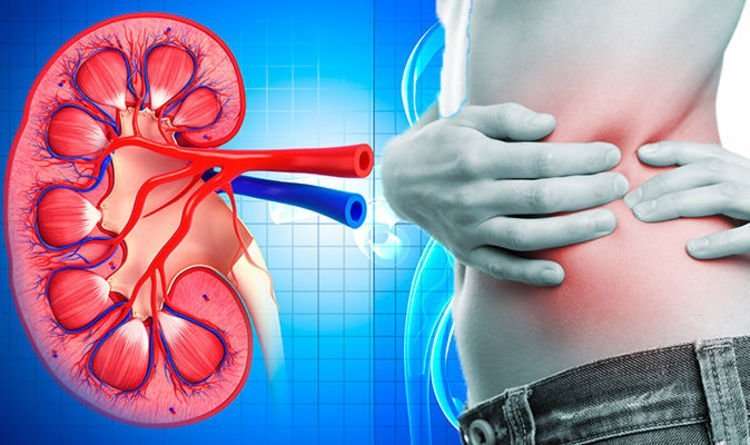 Kidney cancer symptoms warning: Signs of the disease could ...