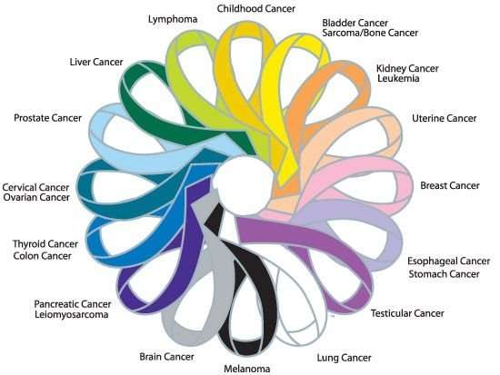 Melanoma Cancer Ribbon Color